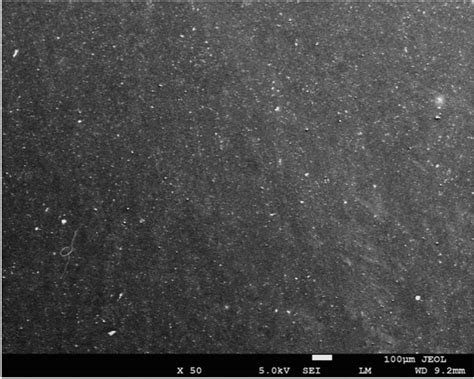 Magnetite nanoparticle distribution over the substrate. The bright dots ...