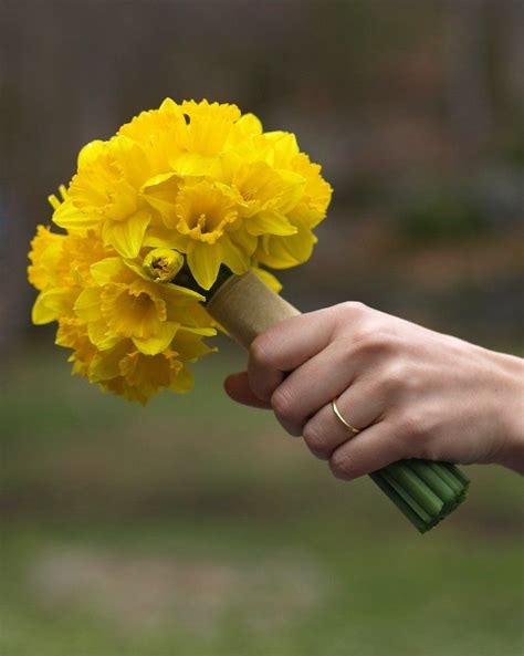 Pin by Gin Da Cunha on Bouquets - Daffodil | Daffodil bouquet, Daffodil ...