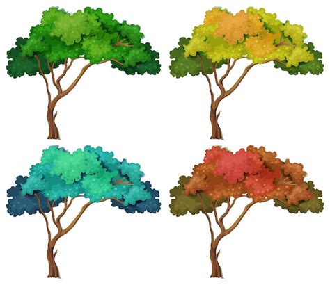 Tree Drawings Color