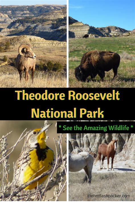 Theodore Roosevelt National Park in western North Dakota has beautiful vistas and amazing ...