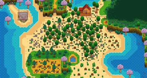 Qué contiene la granja de la playa de Stardew Valley