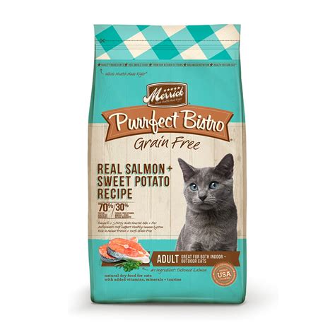 The Best Cat Food Brands, According to Vets in 2022: Purina Pro Plan, Royal Canin, Hill's ...