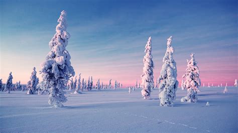 Kakslauttanen Arctic Resort :: Behance