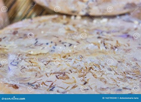 Casu Marzu, Sardinian Cheese with Worms Stock Photo - Image of nuoro ...