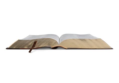 ESV Study Bible, Large Print (TruTone, Brown/Cordovan, Portfolio Design ...