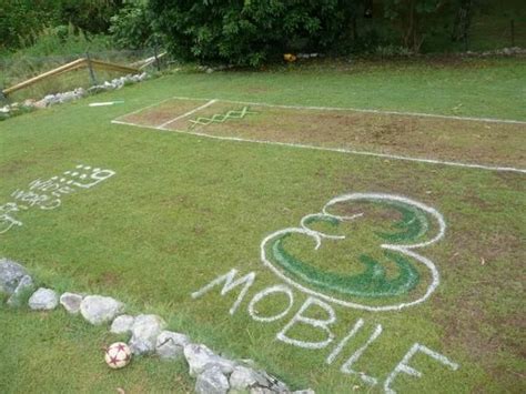 Backyard cricket pitch - spray painted in celebration for Australia Day | Australia day ...