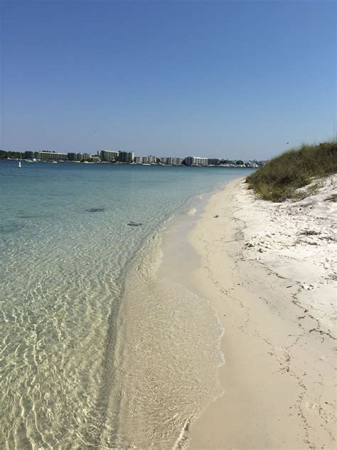 Bird Island, Orange Beach, AL | Bird island, Beach, Orange beach