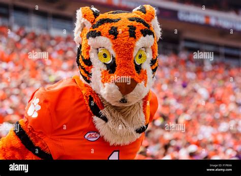Clemson Tiger mascot in action during the NCAA Football game between Stock Photo, Royalty Free ...