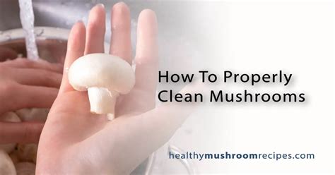 How To Properly Clean Mushrooms - More Mushrooms Please!