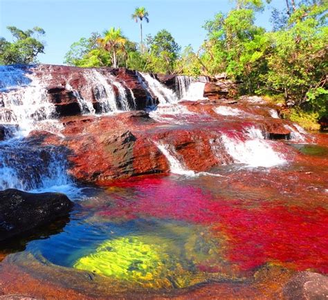 Caño Cristales, Colombia Best viewed during June and November, this rainbow river in Serranía de ...