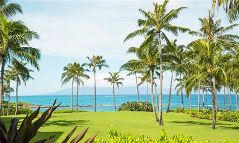 Kapalua Vacation Rentals | Villa and Cottage Rentals | Airbnb