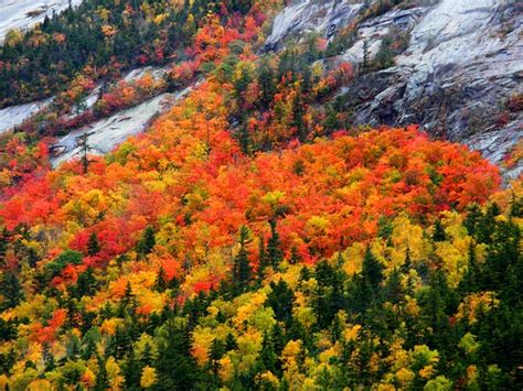 Fall Forest in N.H. | Stanley Zimny (Thank You for 61 Million views) | Flickr