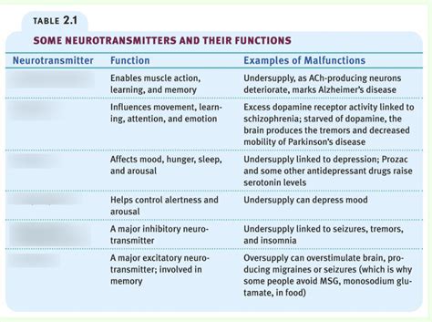 neurotransmitters and their functions Diagram | Quizlet