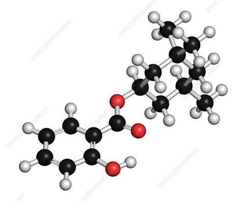 Homosalate sunscreen molecule - Stock Image - F013/0046 - Science Photo Library