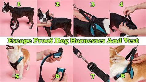 Escape Proof Dog Harnesses And Vest | No Pull Step-in Patented Small ...