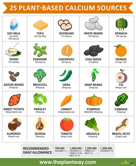 25 Vegan Sources of Calcium (Infographic)