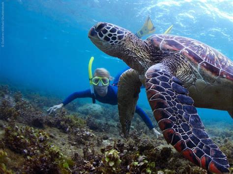 Snorkeling Hawaii | The best snorkeling spots in Hawaii