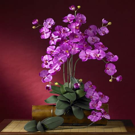 Phalaenopsis Silk Orchid Flower w/Leaves (6 Stems) - Walmart.com