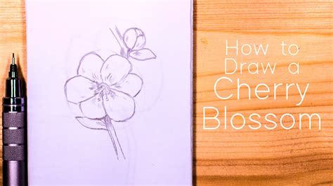 Cherry Blossom Tree Drawing Easy Cherry Blossom Tree Drawing Japanese ...