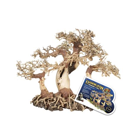 Dragon Bonsai Tree | Zoo Med Laboratories, Inc.