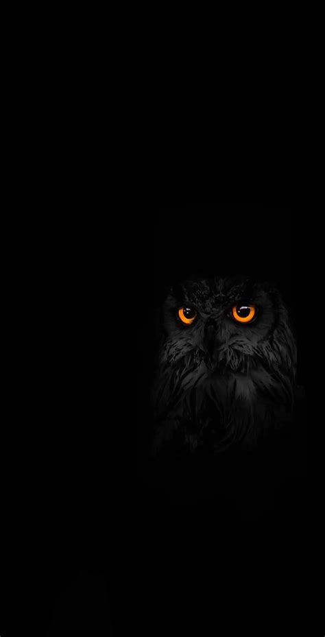 Black Owl Wallpapers - Wallpaper Cave