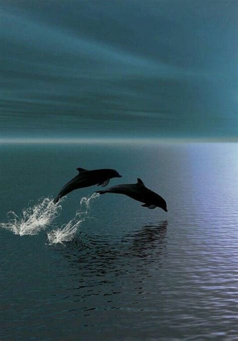 Dolphins Playing in 2021 | Ocean creatures, Underwater world, Ocean life