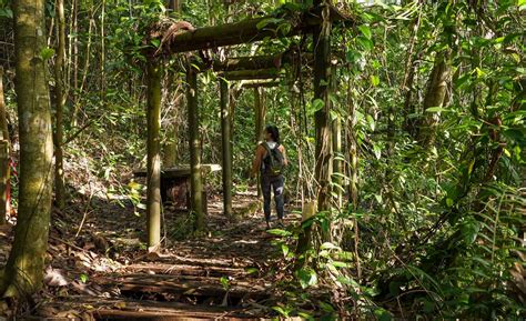 The Forgotten Bukit Batok Hillside Nature Park — Hiking to Hidden ...