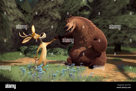 ELLIOT, BOOG, OPEN SEASON, 2006 Stock Photo - Alamy