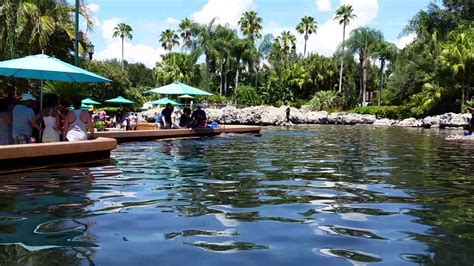 dolphin encounter seaworld orlando fl 7/5/16 - YouTube