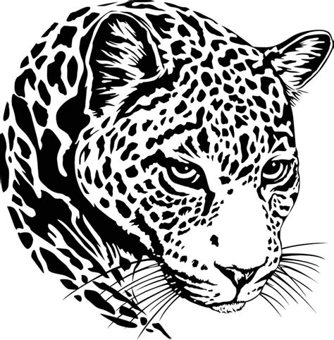 Jaguar Face Vector at Vectorified.com | Collection of Jaguar Face Vector free for personal use