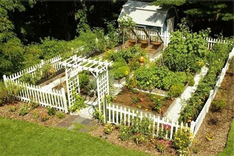 7 Vegetable Garden Fence Ideas to Keep Furries Out - Tricity Property Searches