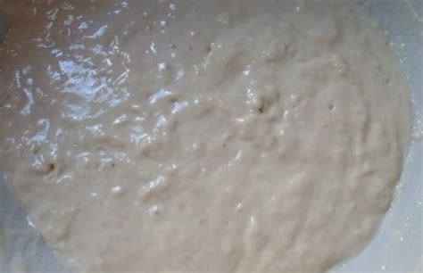 The Sponge Method (not that sponge method) in Bread Baking - Project ...