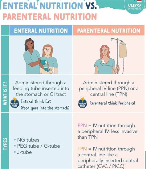 Enteral Vs Parenteral Nutrition - MEDizzy