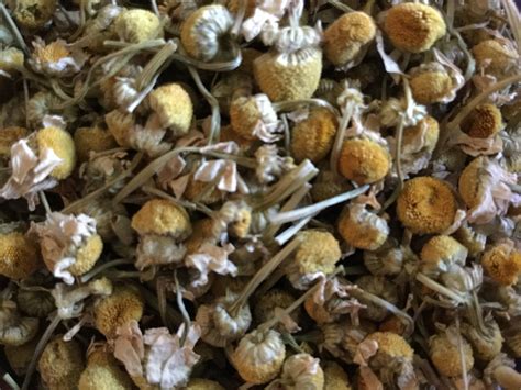 German Chamomile Flowers, organic – Herbal Passion | Local Apothecary | Charleston, SC