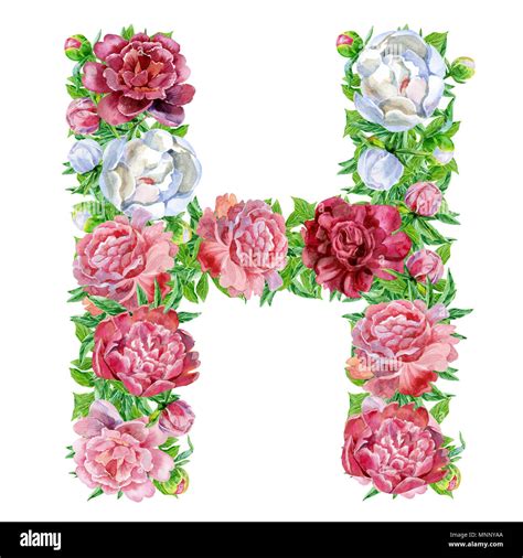 Letter H of watercolor flowers, isolated hand drawn on a white background, wedding design ...