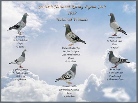 Scottish National Racing Pigeon Club