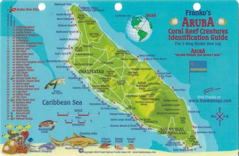 30 Things Not To Do When Visiting Aruba - Page 9 of 31 - True Activist