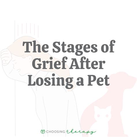 What Are the Stages of Grief for Pet Loss?