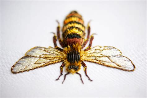 Elaborate Embroidery by Laura Baverstock Forms Insects and Animals from ...