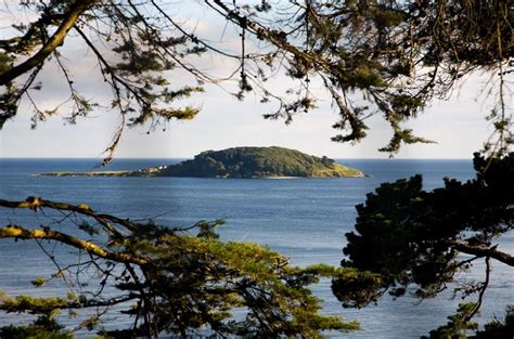 Looe Island | Cornwall Guide