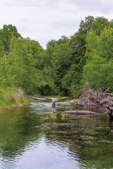 The Legend of the Guadalupe Bass, the State Fish of Texas