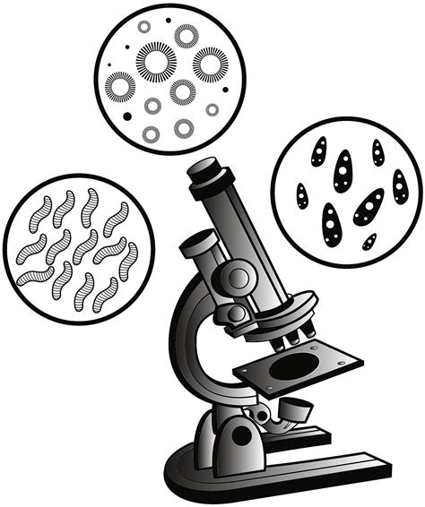 Seriously! 24+ Hidden Facts of Monkeypox Virus Under Microscope! The first human case was ...