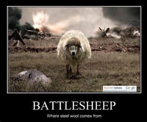 Funny Sheep Quotes. QuotesGram