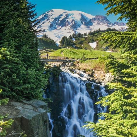 Skyline Trail: Mount Rainier's Best Day Hike - The National Parks Experience | National parks ...