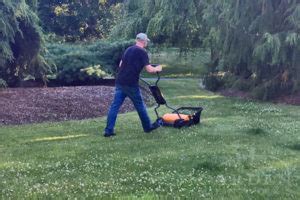 Lawns & Mowers - Garden Mentors