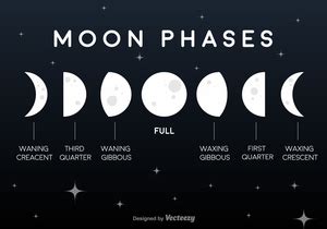 Moon Phases Clip Art