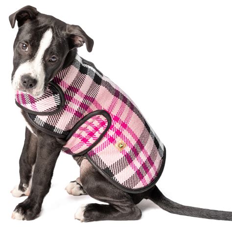 Dog Coats — Chilly Dog Sweaters