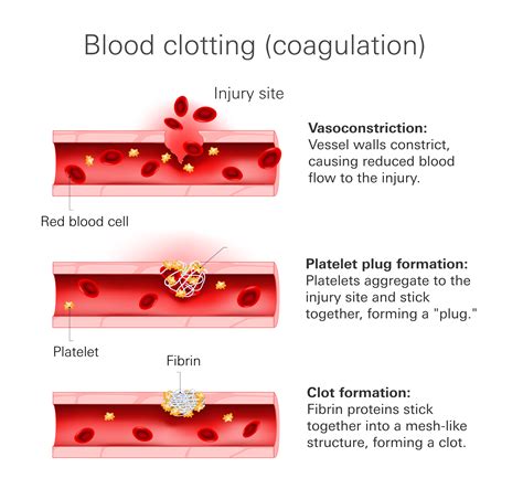 Blood Thinners