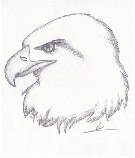 easy sketches - Google Search | Animal sketches easy, Easy animal drawings, Pencil drawings of ...