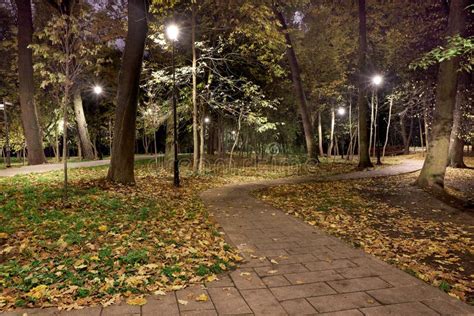 Night Parks in Moscow. Park at Night, Paths and Bridges, Autumn Leaves, Stock Image - Image of ...